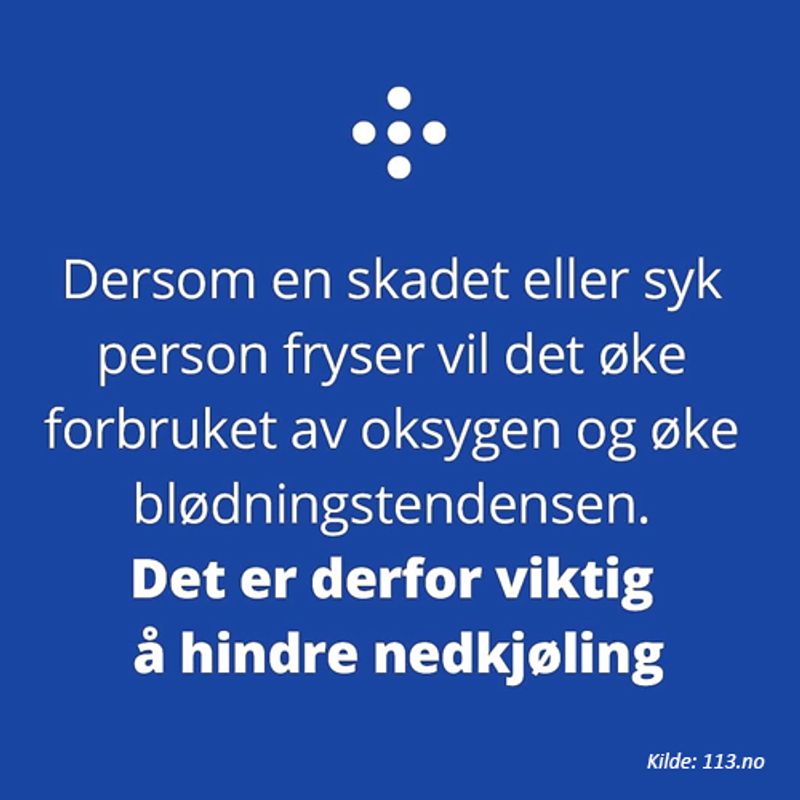 Blizzard Thermopose u/varmepk Orange