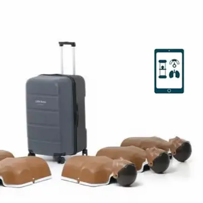 Little Anne Mørk 6-pakk