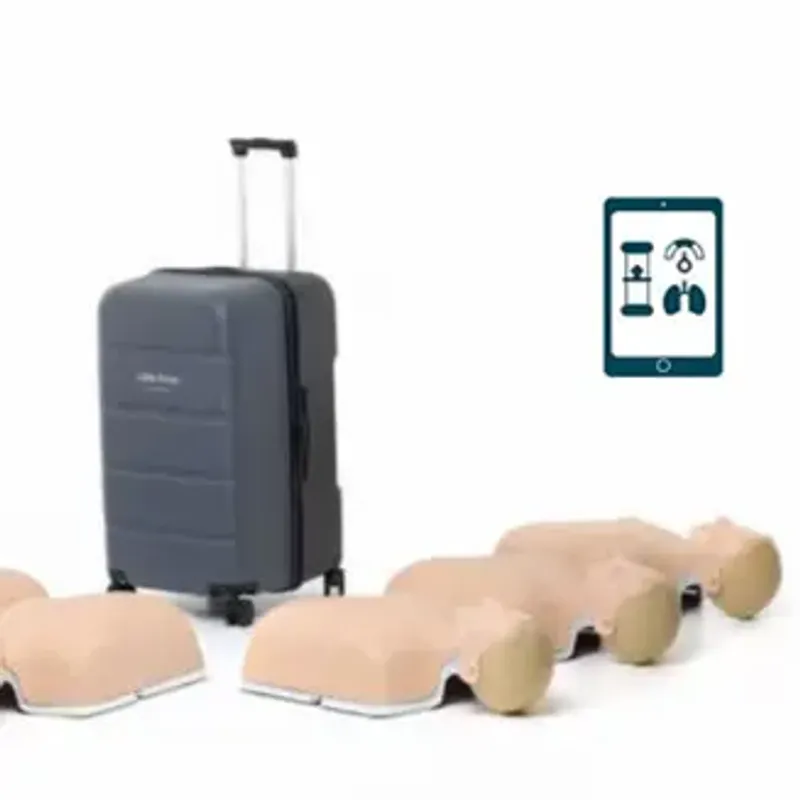 Little Anne Lys 6-pakk